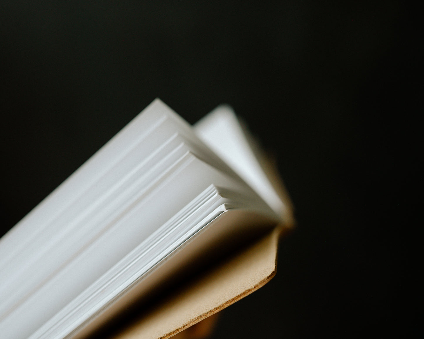 Personalized Leather Journal with Mushrooms